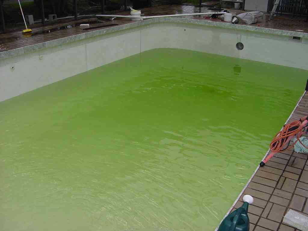 Why does my swimming pool water look cloudy?